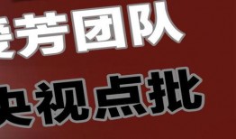 江南团队爆料视频大全,视频大全揭秘幕后故事