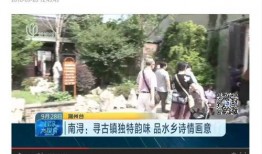 南浔新闻爆料事件视频,视频揭露惊人真相