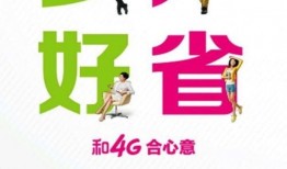 山东新闻怎么爆料,聚焦民生热点，共筑和谐家园